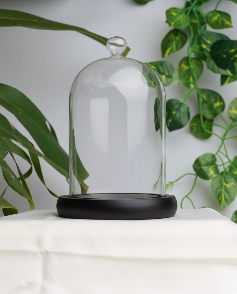 Glass Cloche