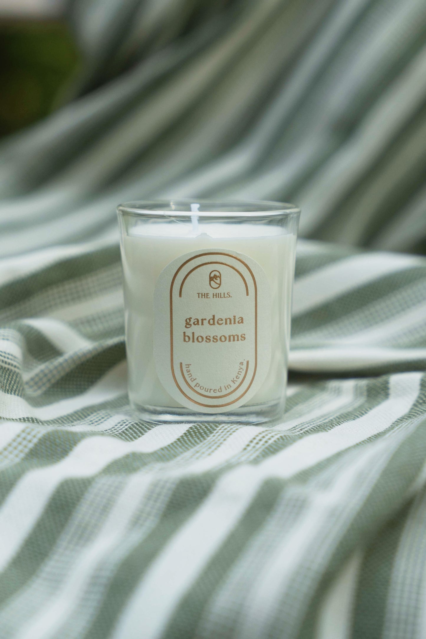 The Kenyan Highland Mini Collection